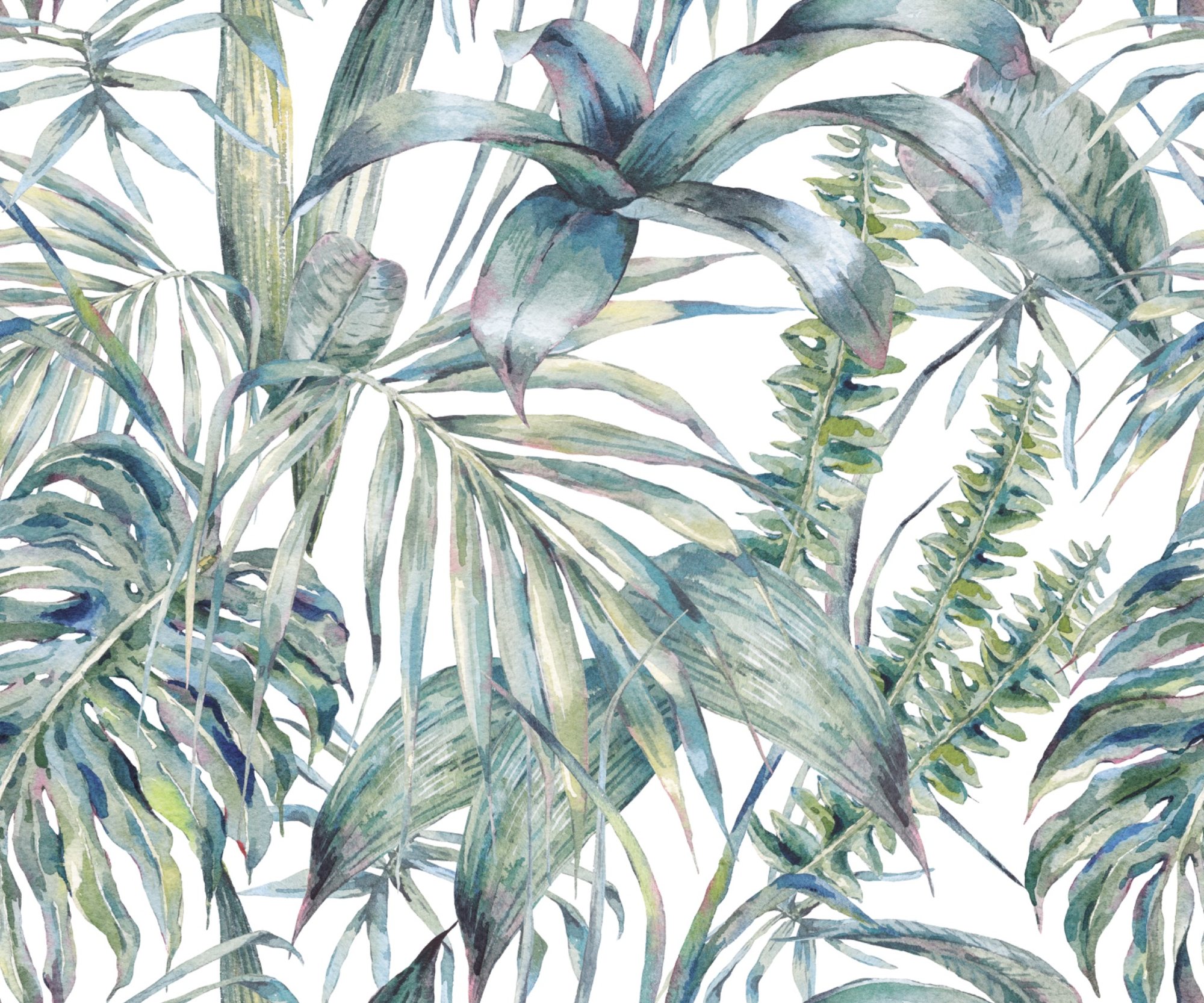 Jungle Song tropical wallpaper – LH Lifestyle